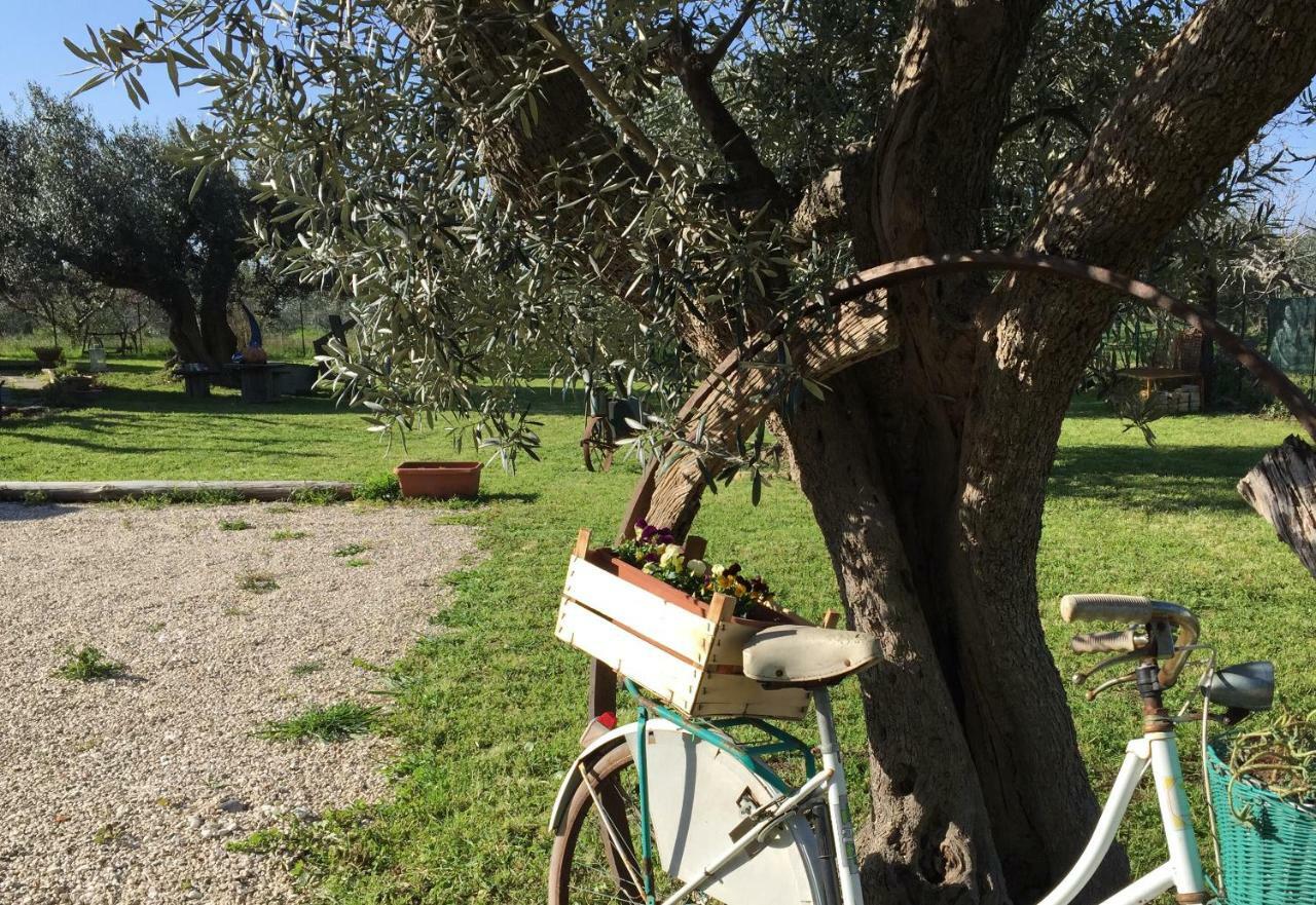 C'Era Una Volta Podere San Giovanni Fossacesia Luaran gambar